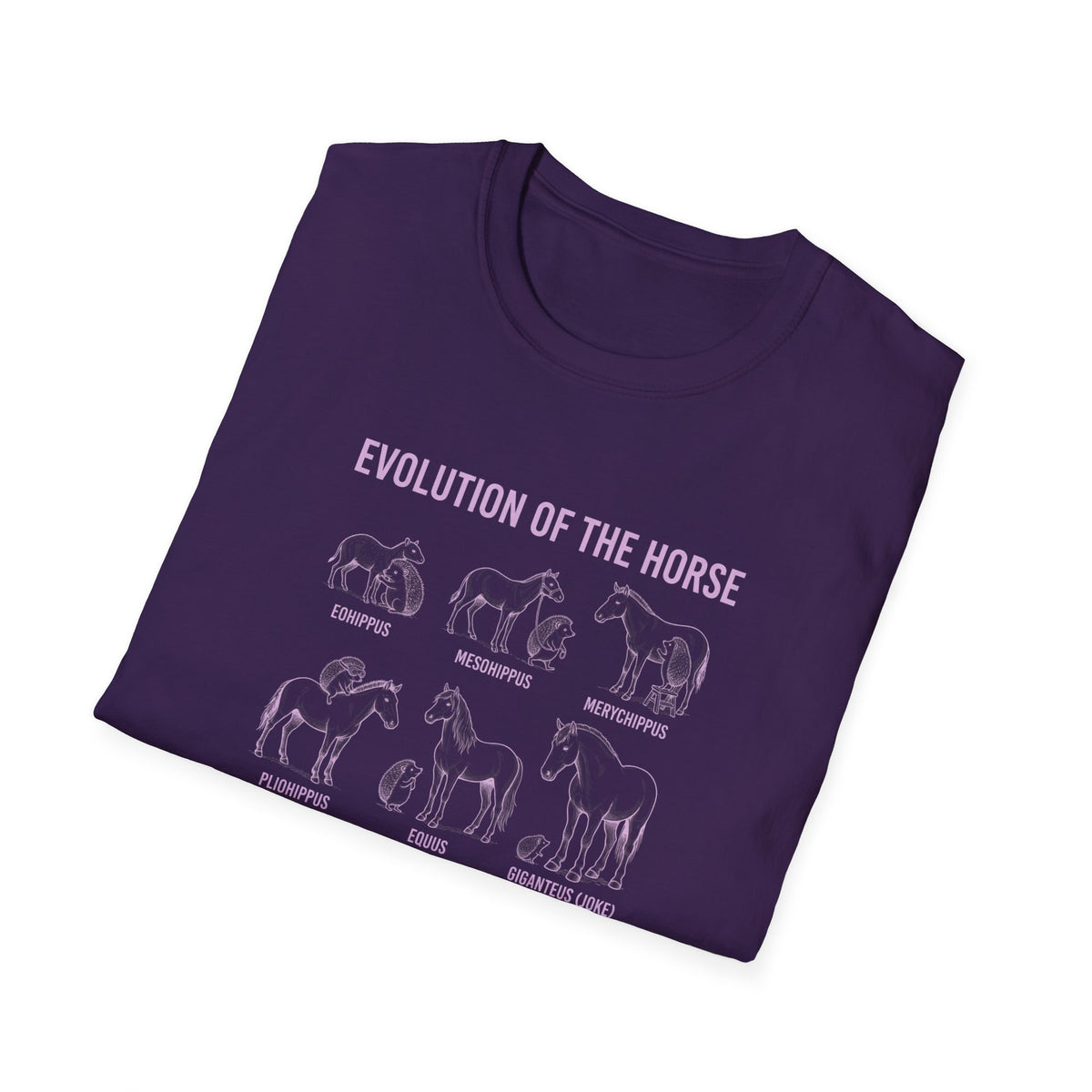 Evolution Of The Horse (As Demonstrated By Hedgehogs) Unisex Softstyle T-Shirt