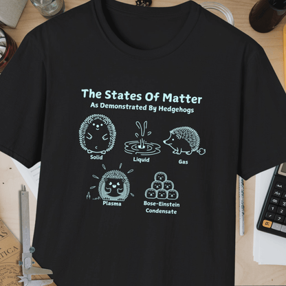 The States Of Matter Unisex Softstyle T-Shirt